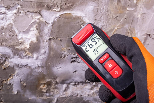 Best Mold Damage Repair  in Odell, OR