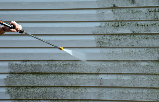 Crawl Space Mold Removal in Odell, OR