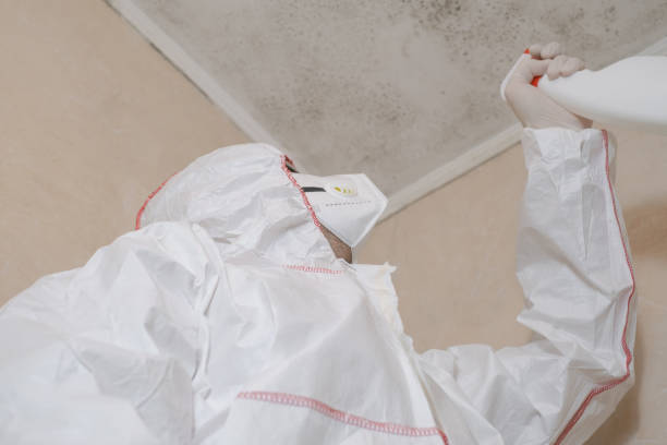 Best Residential Mold Removal  in Odell, OR
