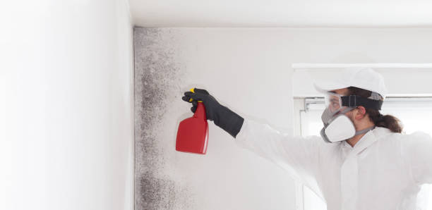 Best Mold Testing  in Odell, OR